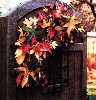 красочные осенние листья
